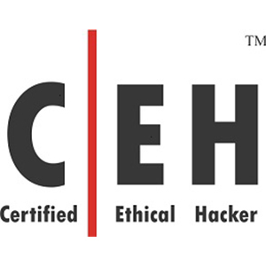 ethical hacking logo