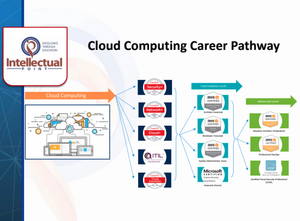 Career Pathway & Skills Assessment - Intellectual Point