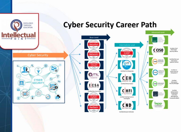 Career Pathway & Skills Assessment - Intellectual Point